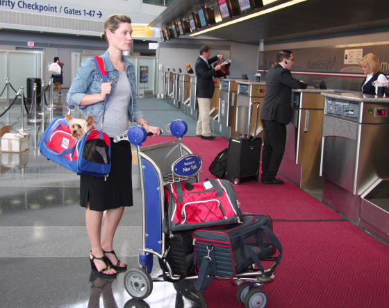 The Guaranteed On-Board Program is designed to eliminate the problems travelers have had with airlines and pet carriers. 